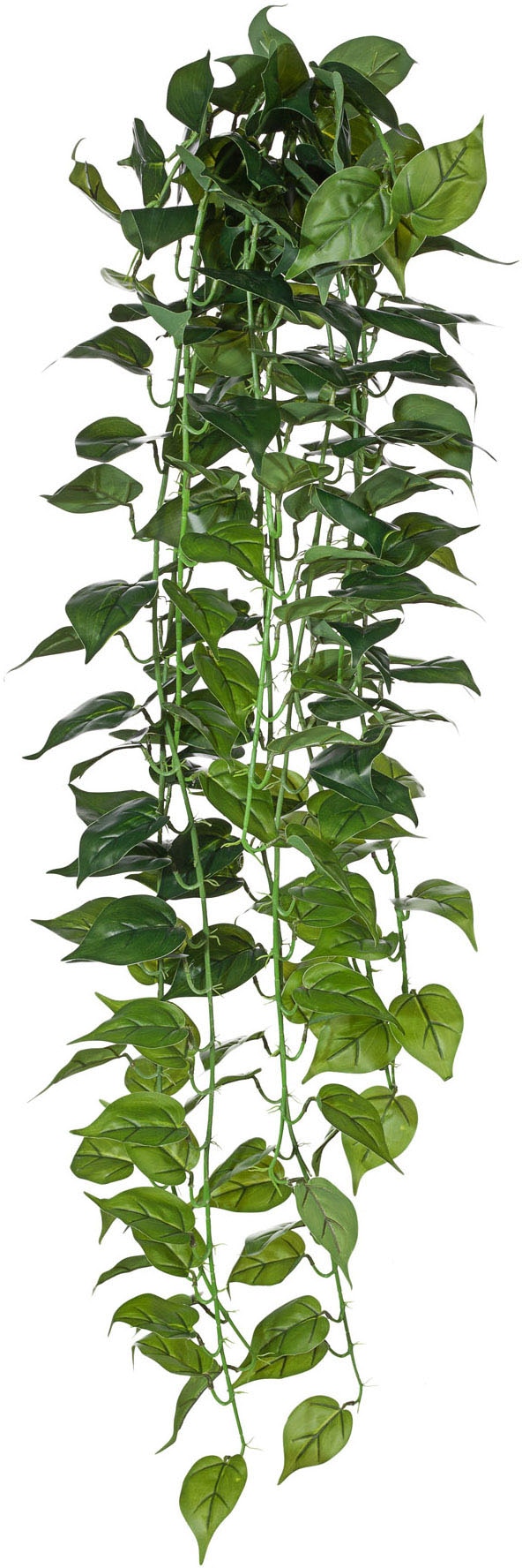 Creativ green Kunstranke »Philodendron-Hänger« von Creativ green
