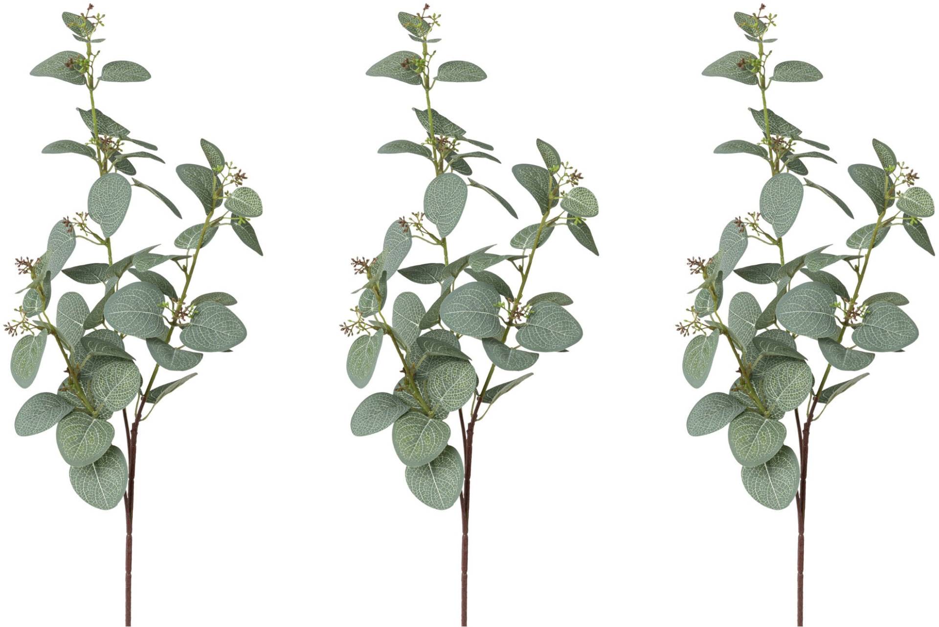 Creativ green Kunstzweig »Eukalyptuszweig« von Creativ green