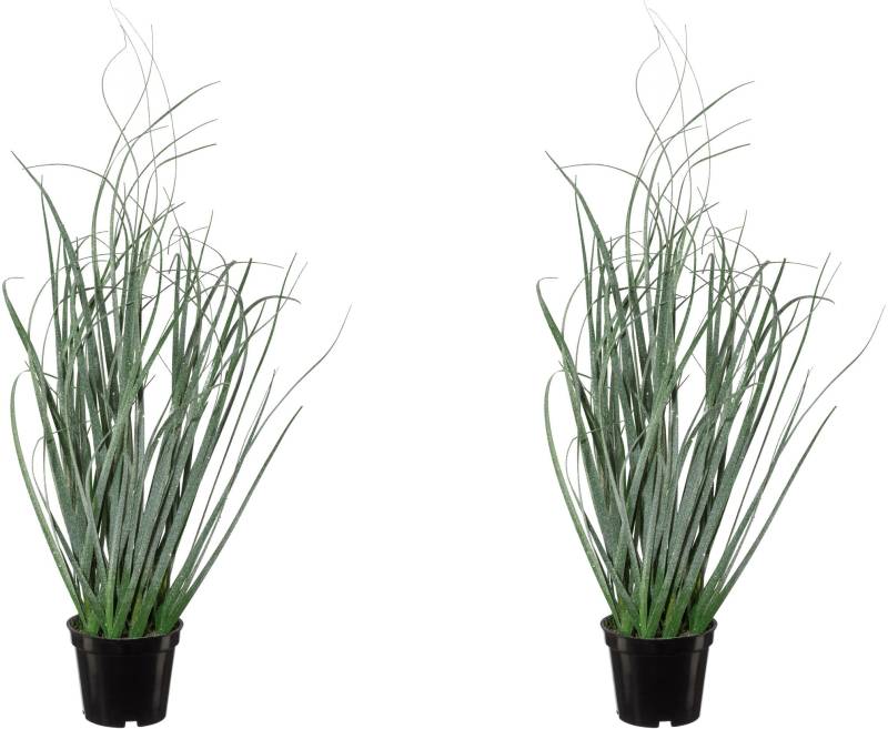 Creativ green Winterliche Kunstpflanze »Weihnachtsdeko«, mit geeister Optik, im 2er-Set von Creativ green