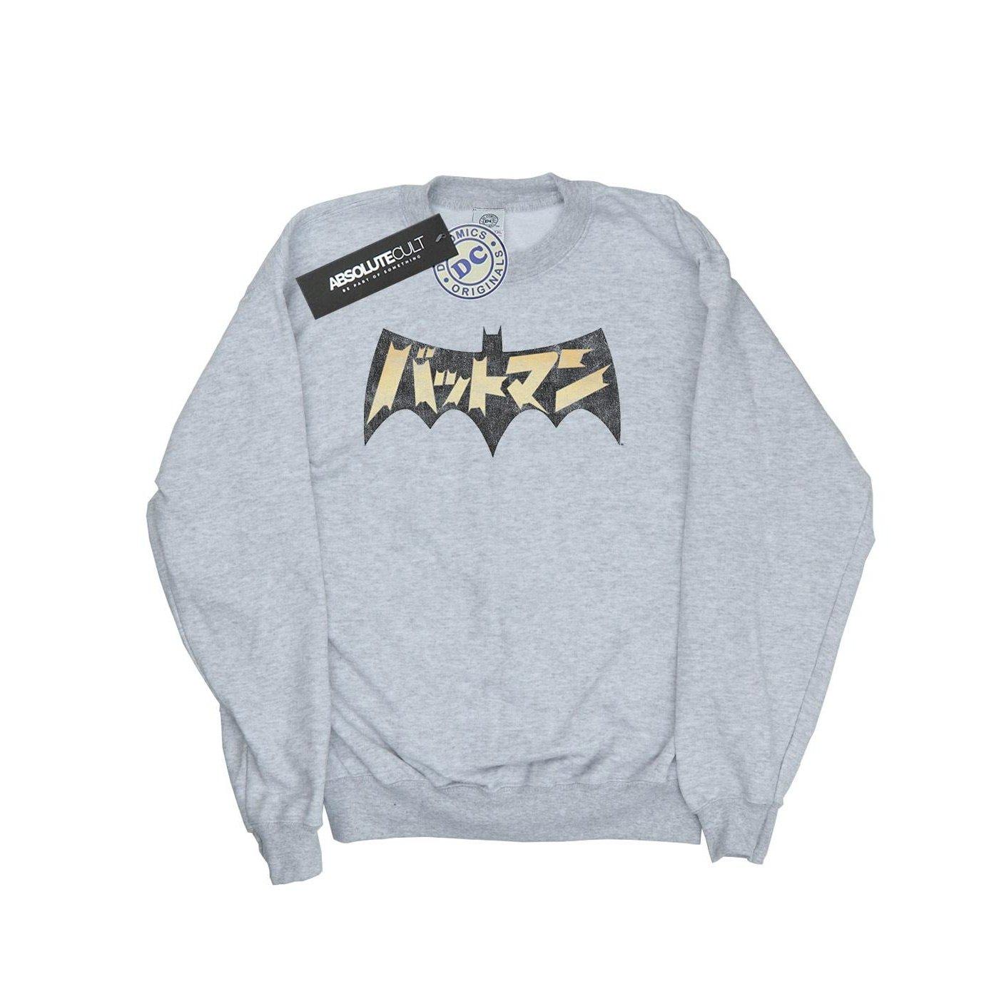Batman International Logo Sweatshirt Jungen Grau 116 von DC COMICS