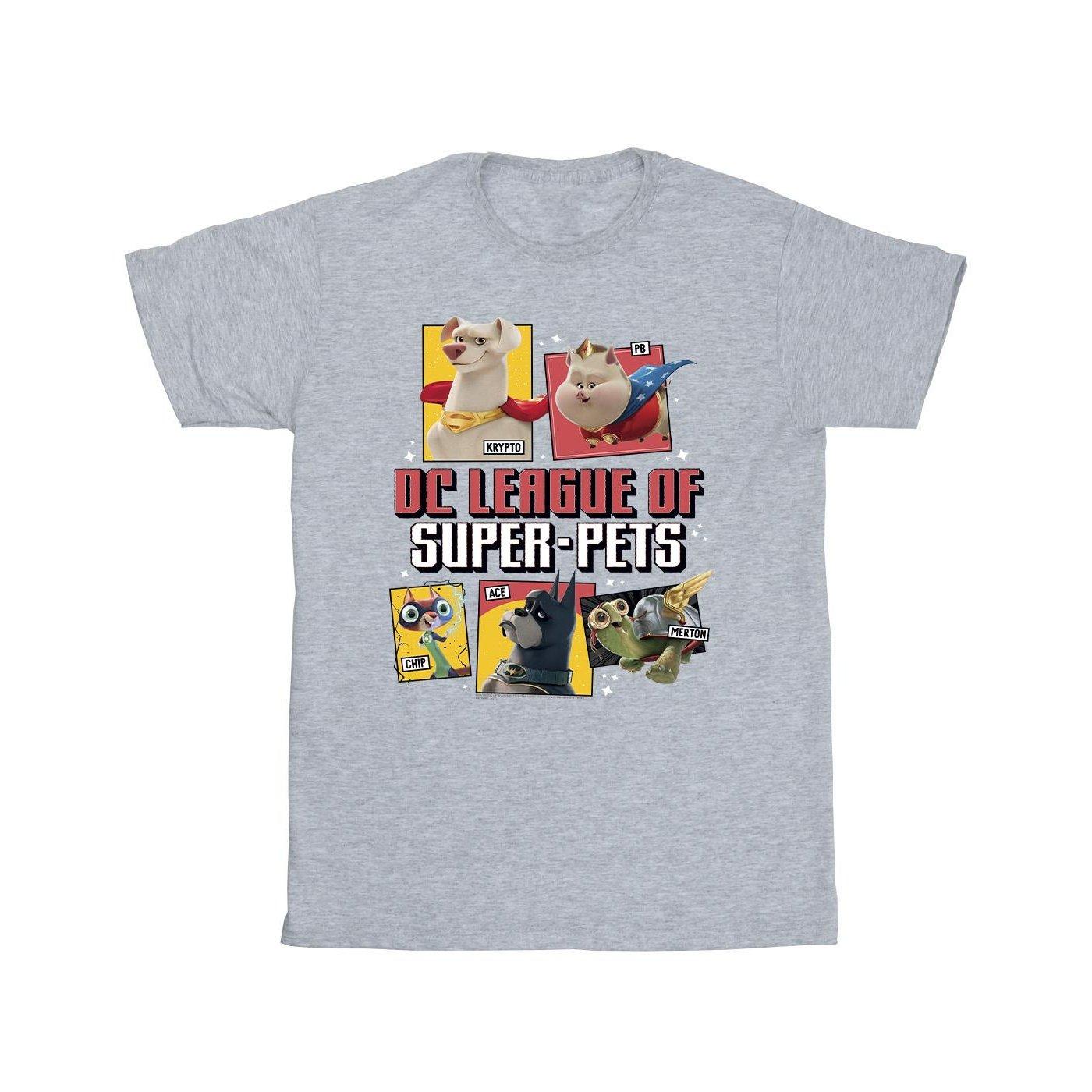 Dc League Of Superpets Profile Tshirt Jungen Grau 116 von DC COMICS