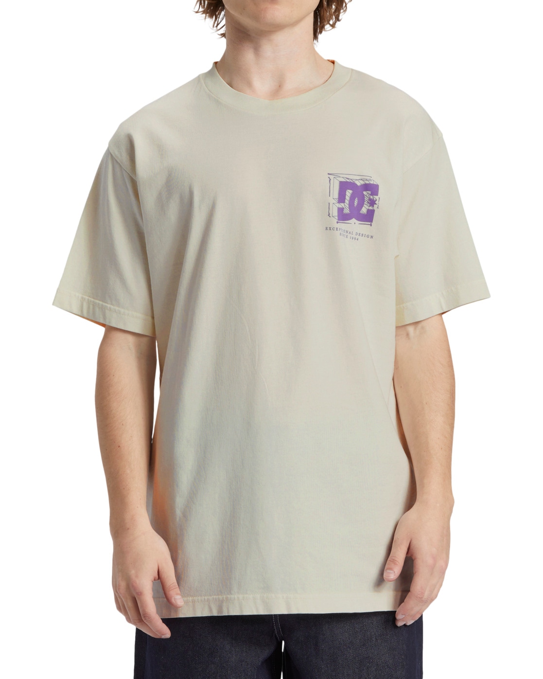 DC Shoes T-Shirt »Mid Century« von DC Shoes