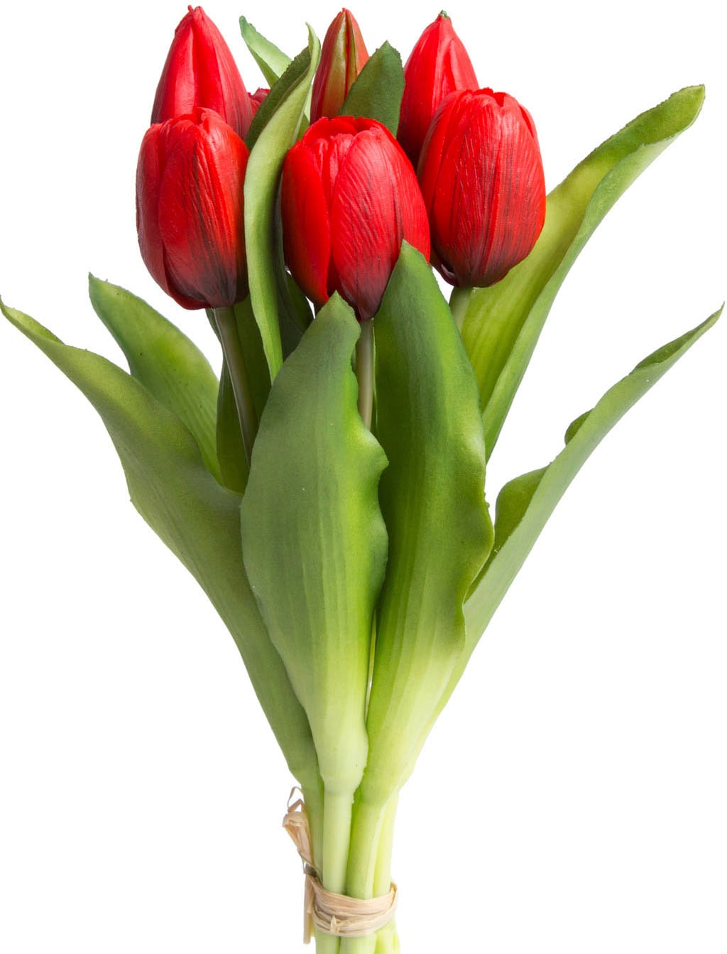 Botanic-Haus Kunstblume »Willa«, Tulpenbündel im 7er-Set Botanic-Haus Kunstblume »Willa«, Tulpenbündel im 7er-Set von Botanic-Haus