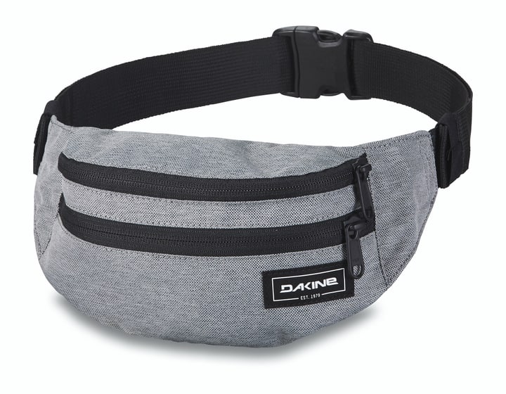 Dakine Classic Hip Pack Bauchtasche hellgrau von Dakine