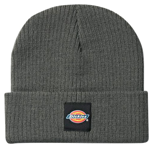 Dickies Beanie »Evadale« von Dickies