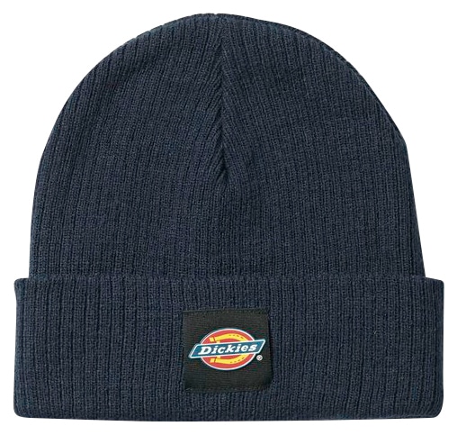 Dickies Beanie »Evadale« von Dickies