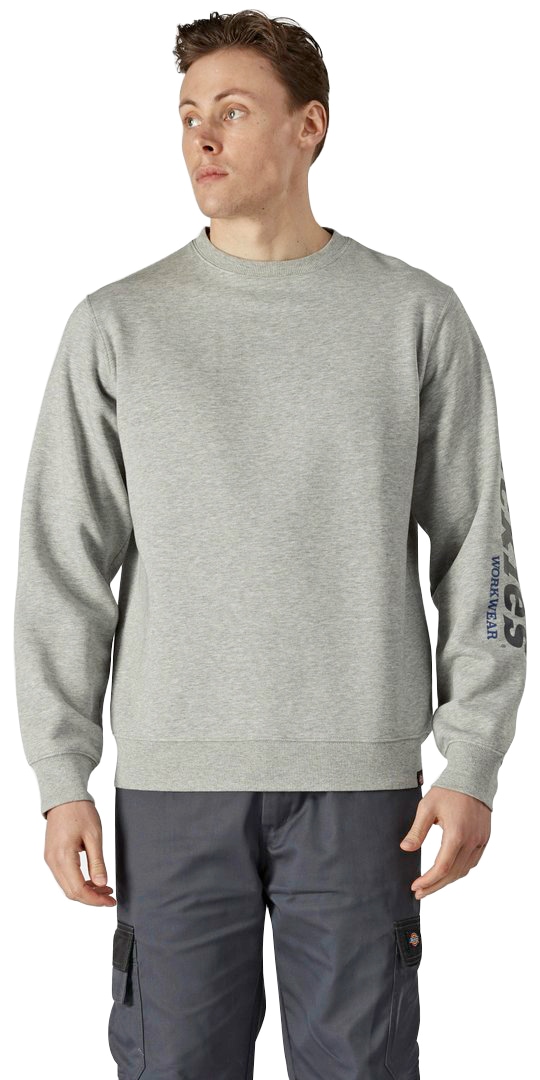 Dickies Sweatshirt »Okemo-Graphic« von Dickies