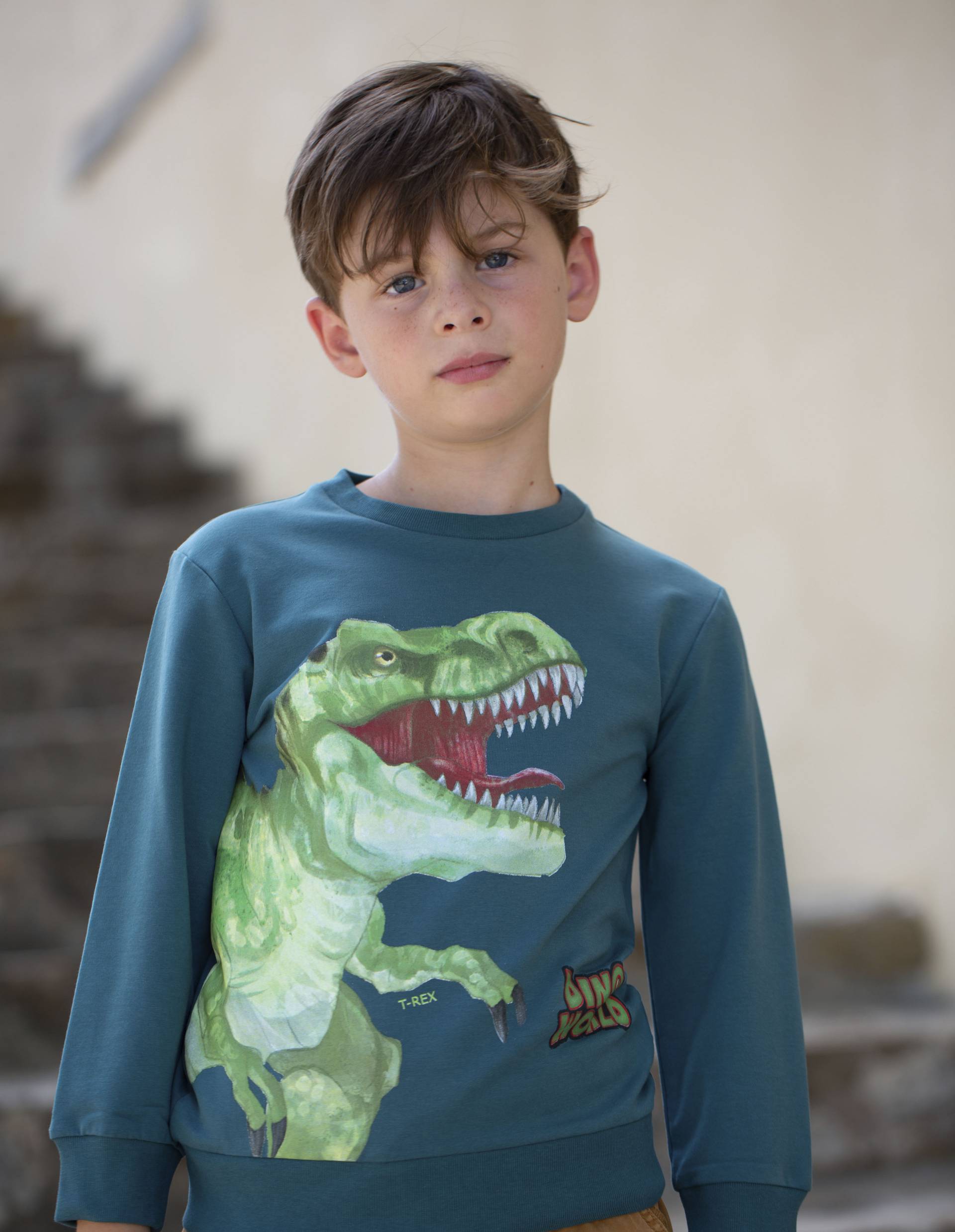 Dino World Sweatshirt »Dino World Sweatshirt« von Dino World