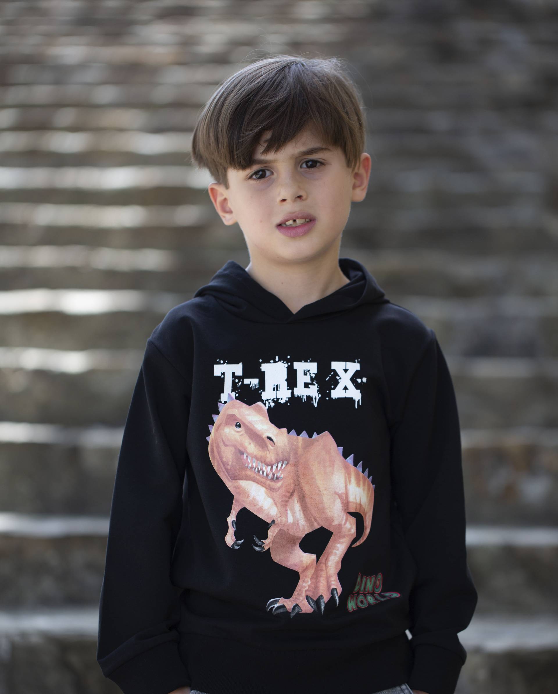 Dino World Sweatshirt von Dino World