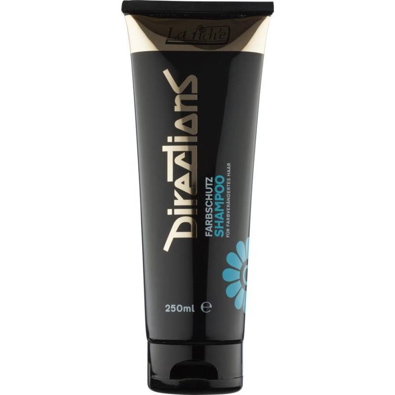 Directions Farbschutzsh.250ml von Directions