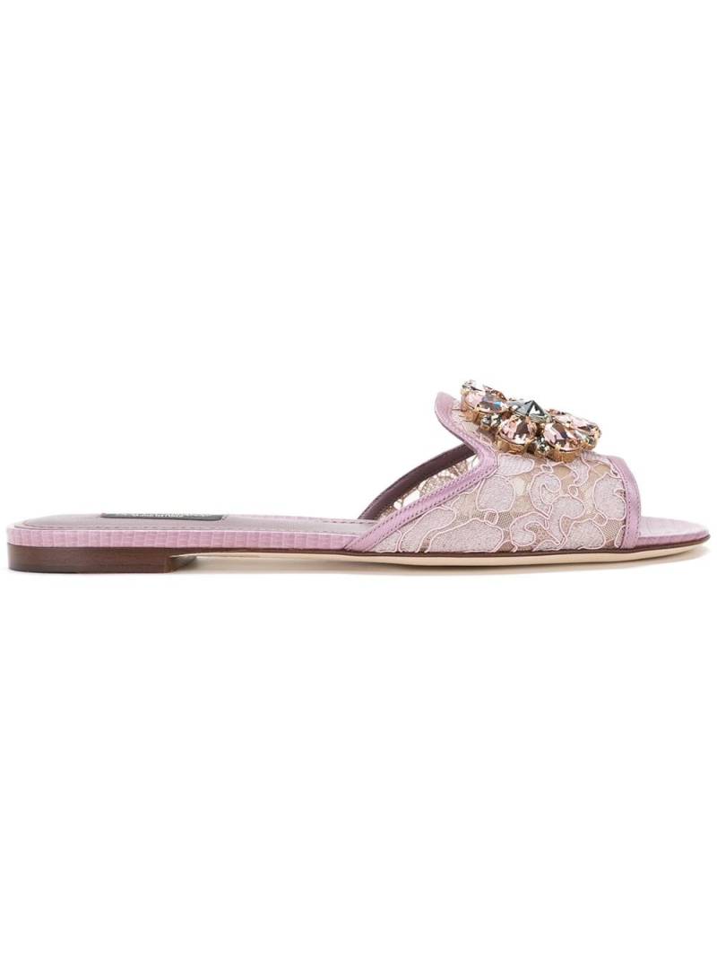 Dolce & Gabbana Rainbow Lace brooch-detail sandals - Pink von Dolce & Gabbana