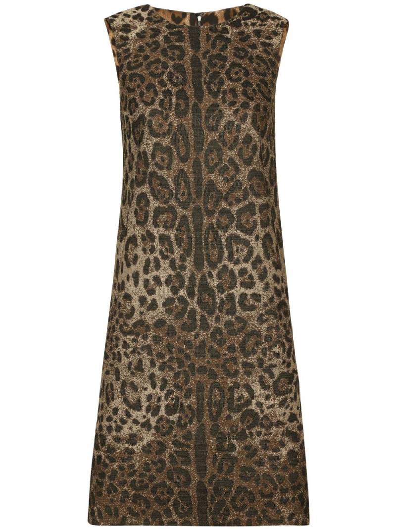 Dolce & Gabbana leopard-jacquard mid-length dress - Brown von Dolce & Gabbana