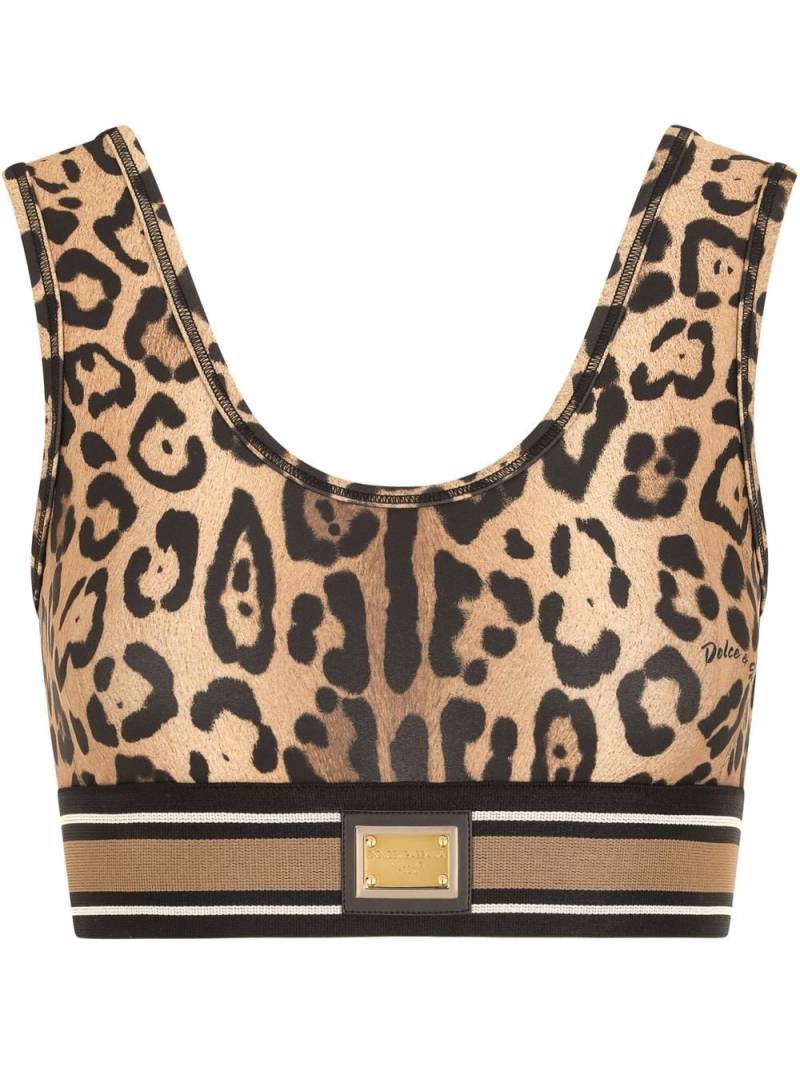 Dolce & Gabbana leopard-print crop top - Brown von Dolce & Gabbana