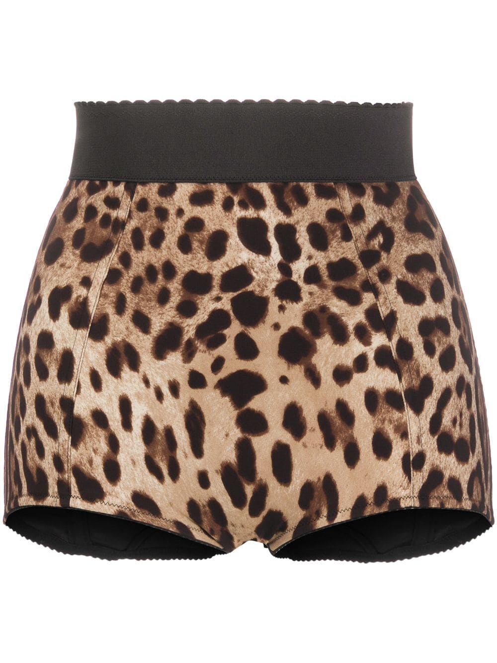 Dolce & Gabbana leopard-print high-waisted briefs - Brown von Dolce & Gabbana