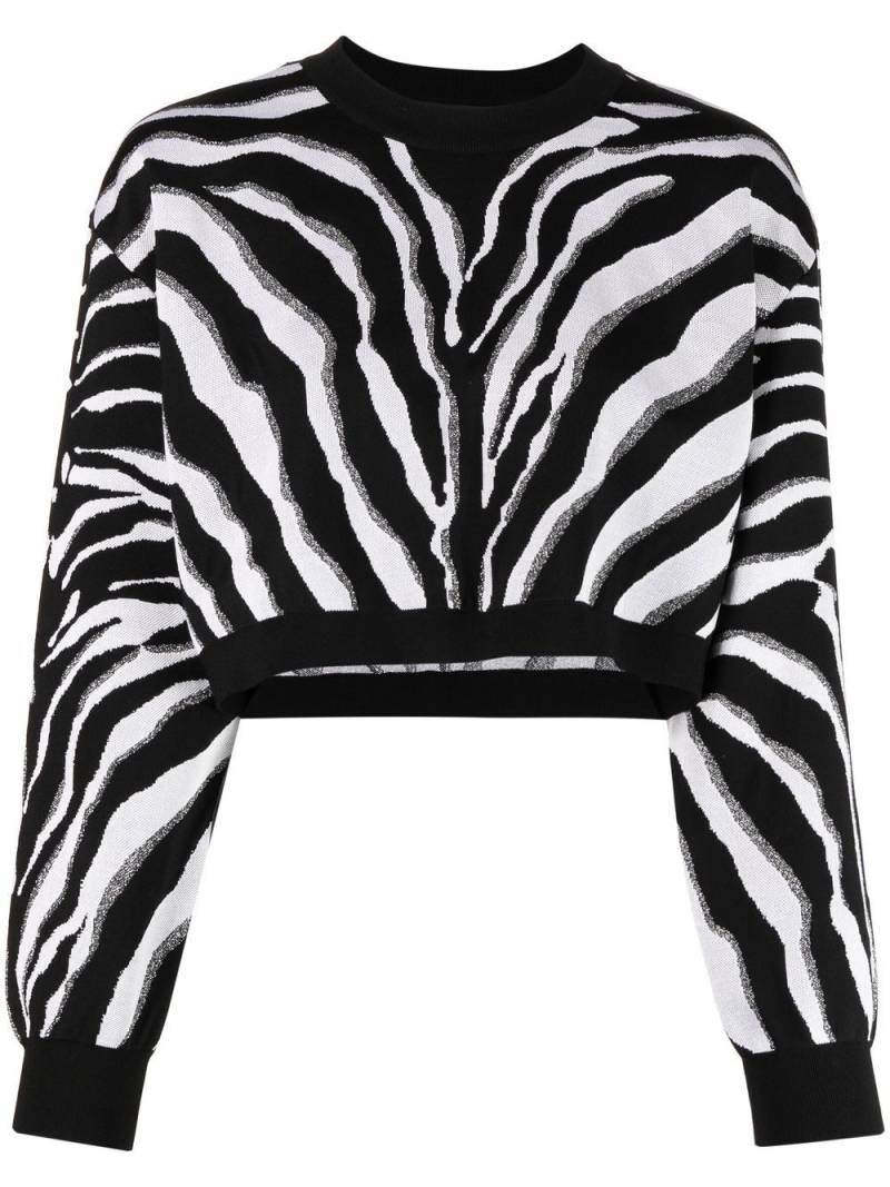 Dolce & Gabbana zebra-print cropped jumper - Black von Dolce & Gabbana