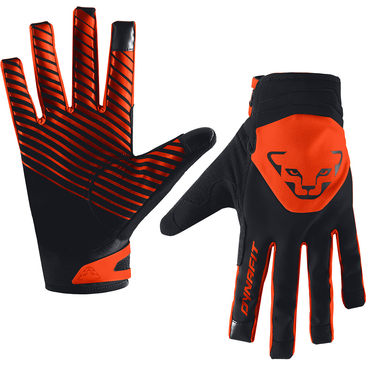 Dynafit Radical 2 Softshell Handschuhe von Dynafit