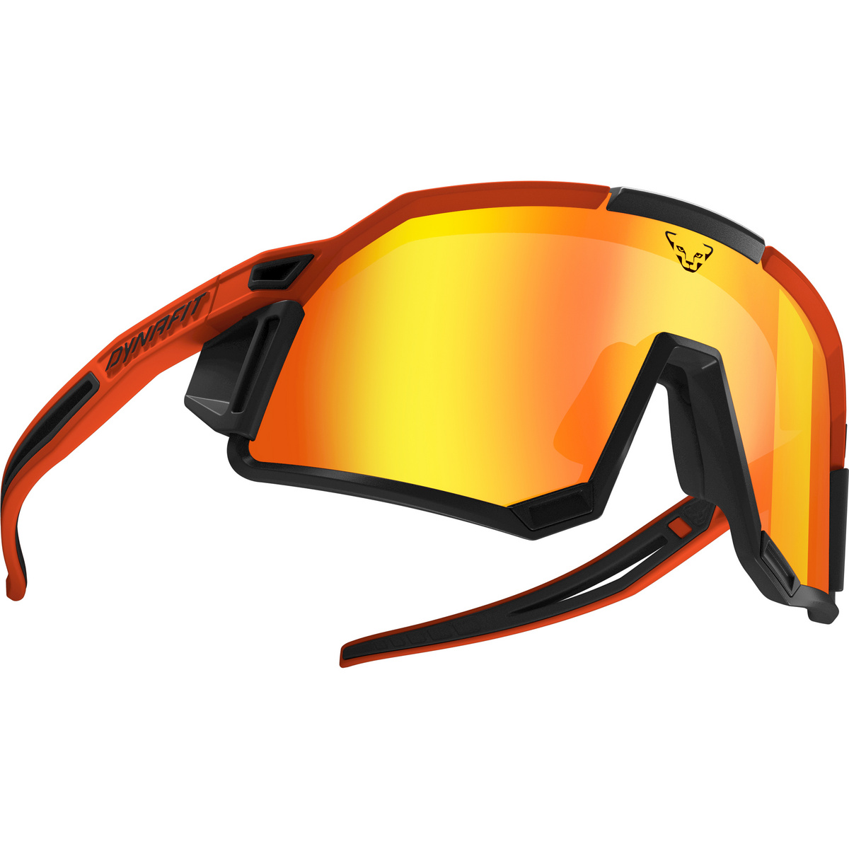 Dynafit Sky Evo Gletscherbrille von Dynafit