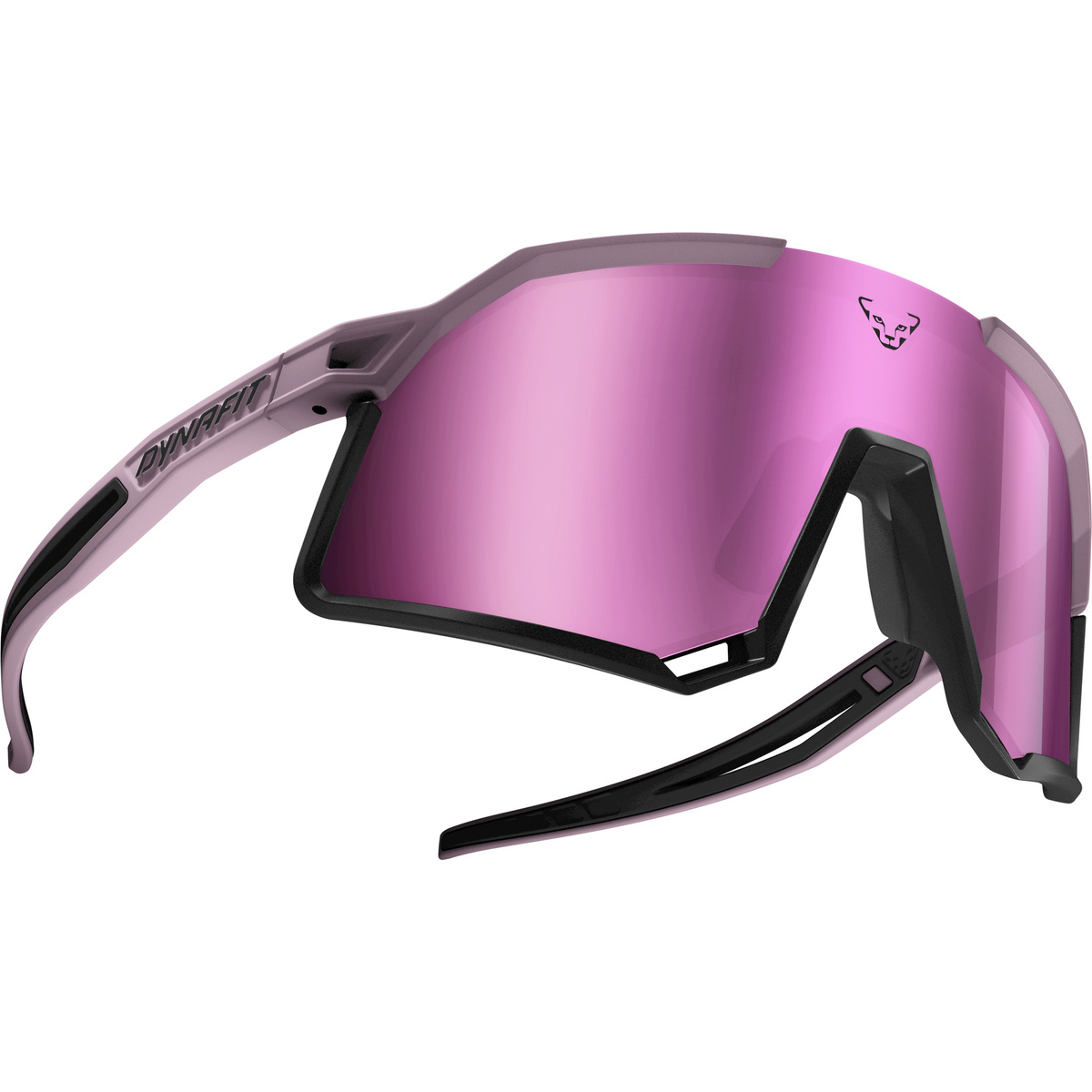 Dynafit Trail Evo Sportbrille von Dynafit