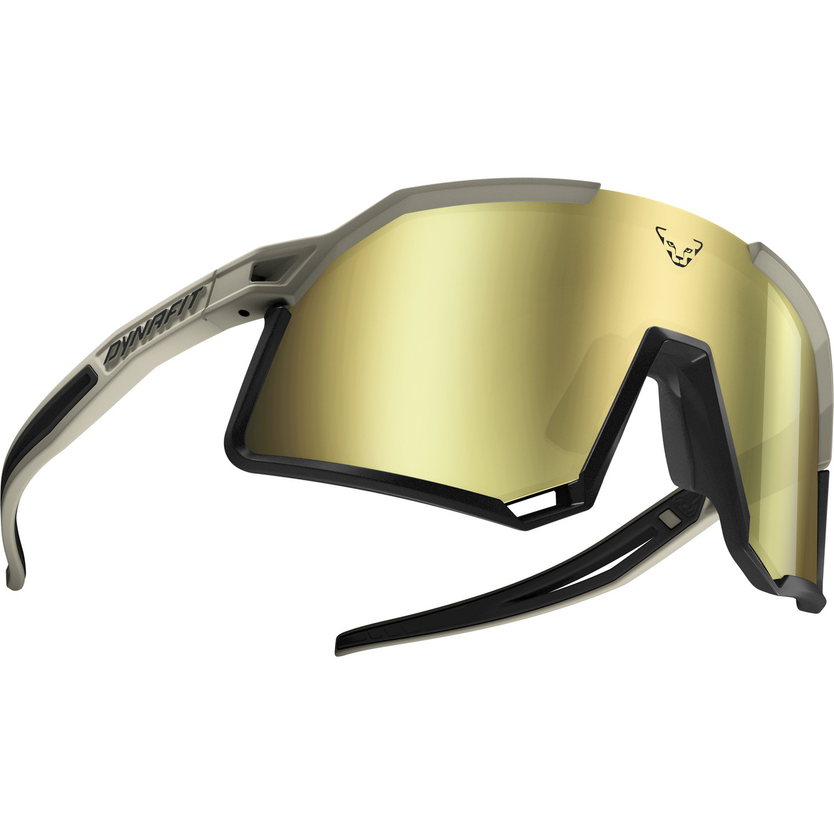 Dynafit Trail Evo Sportbrille von Dynafit