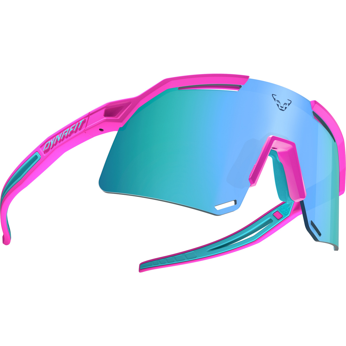 Dynafit Ultra Evo Sportbrille von Dynafit