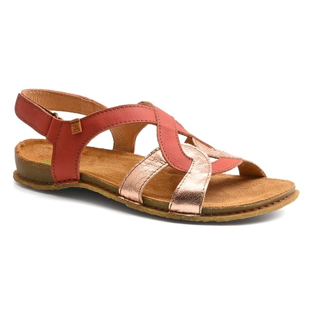 El naturalista N5819-40 40 von El naturalista