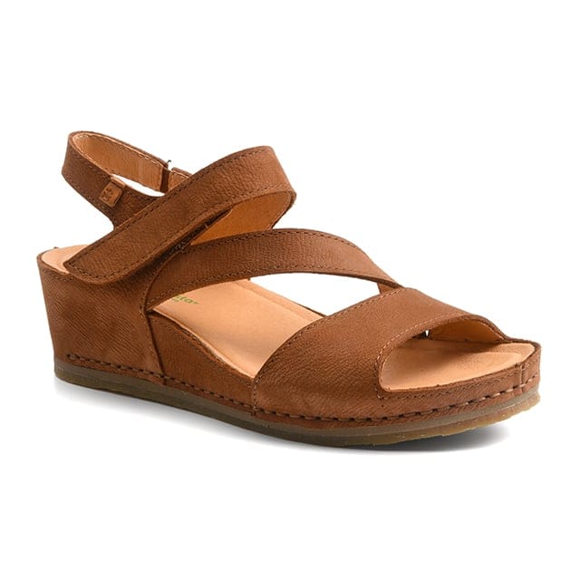 El naturalista N5852 PICUAL-40 40 von El naturalista