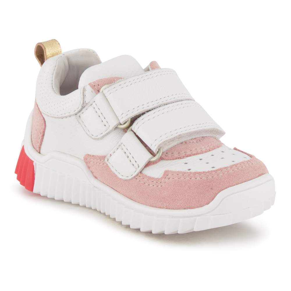 Elefanten, Halbschuh von Elefanten