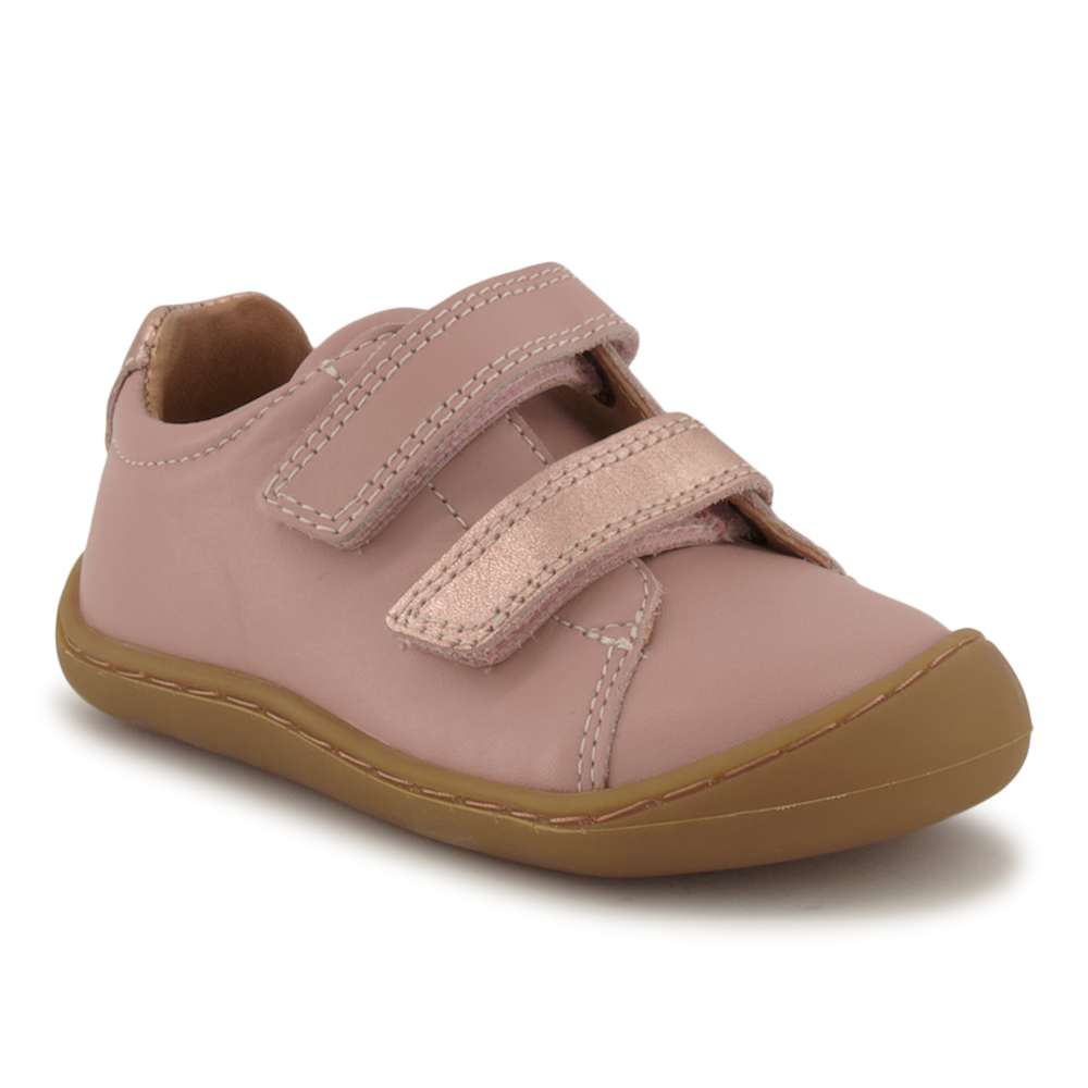 Elefanten, Sneaker von Elefanten