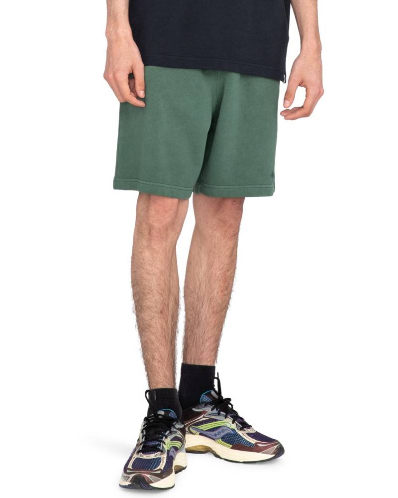 Element Shorts »Cornell 3.0« von Element