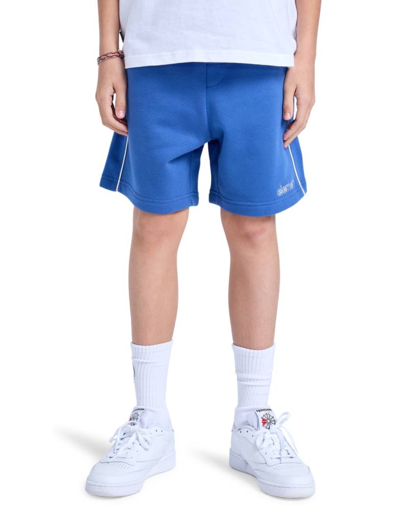 Element Shorts »Cornell 90s 15.7"« von Element