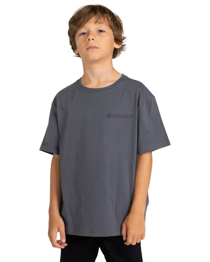 Element T-Shirt »Blazin« von Element
