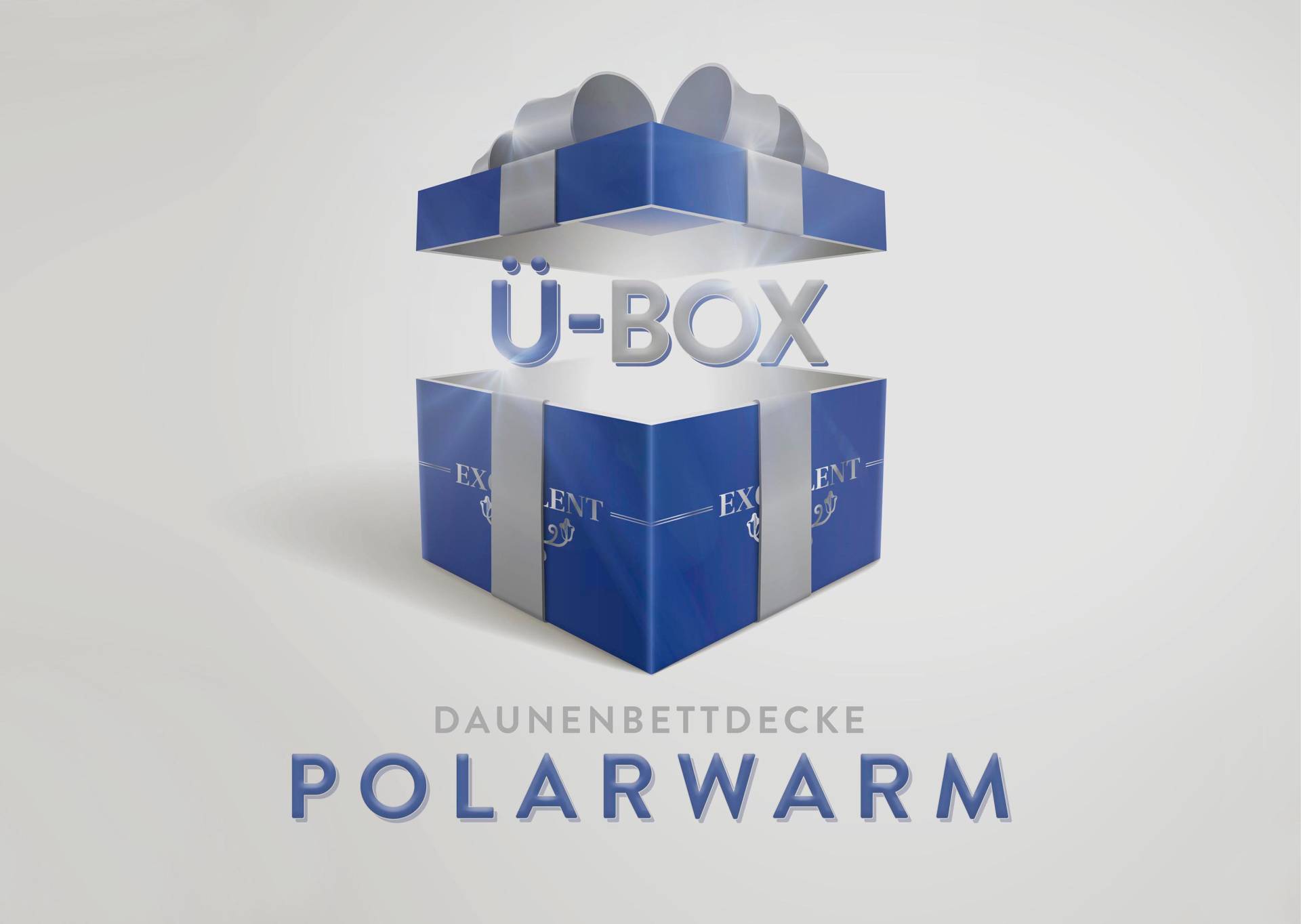 Excellent Daunenbettdecke »Überraschungsbox«, extrawarm, Füllung 90% Daunen, 10% Federn, Bezug Baumwolle, (1 St.) von Excellent