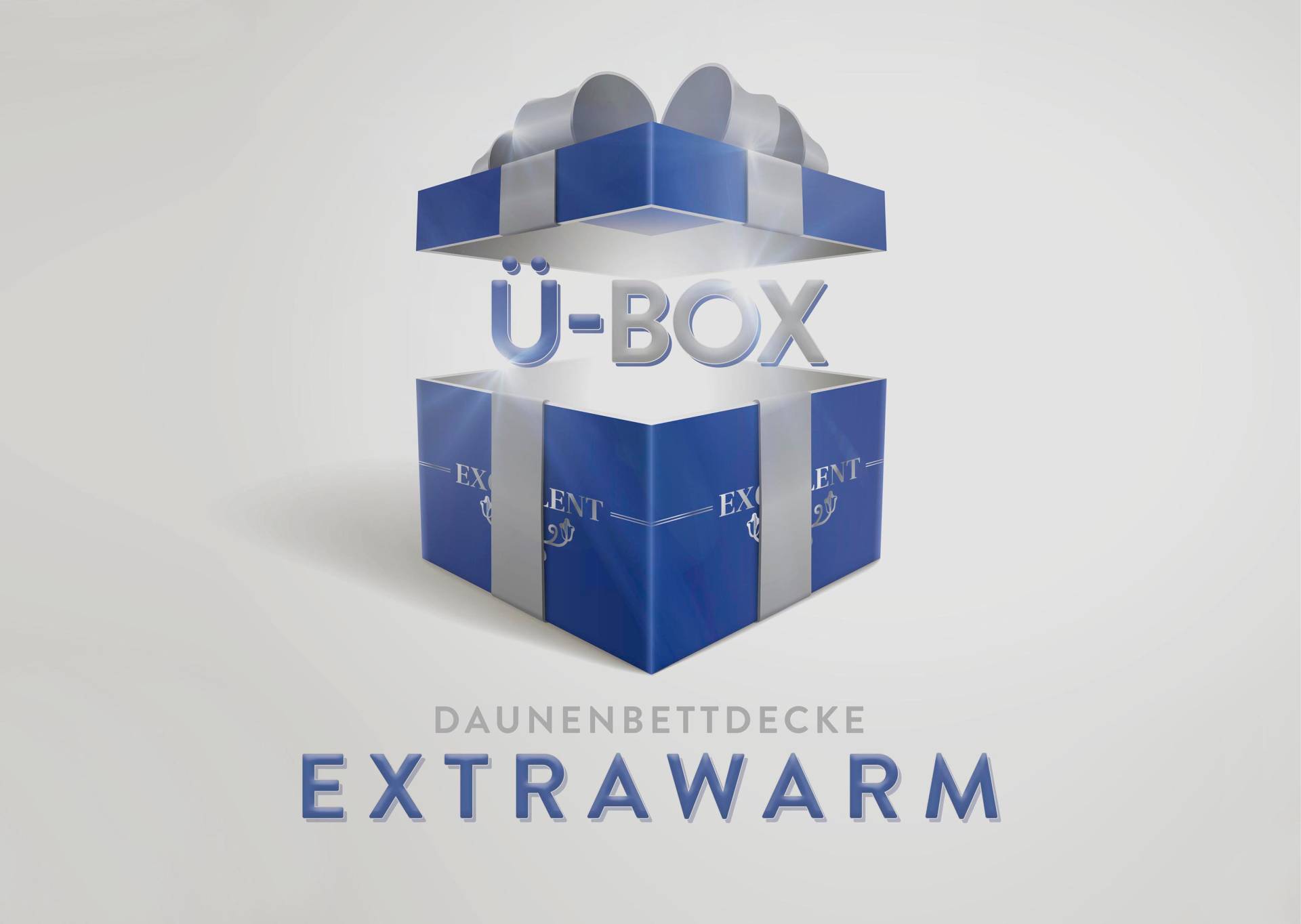 Excellent Daunenbettdecke »Überraschungsbox«, extrawarm, Füllung 90% Daunen, 10% Federn, Bezug Baumwolle, (1 St.) von Excellent