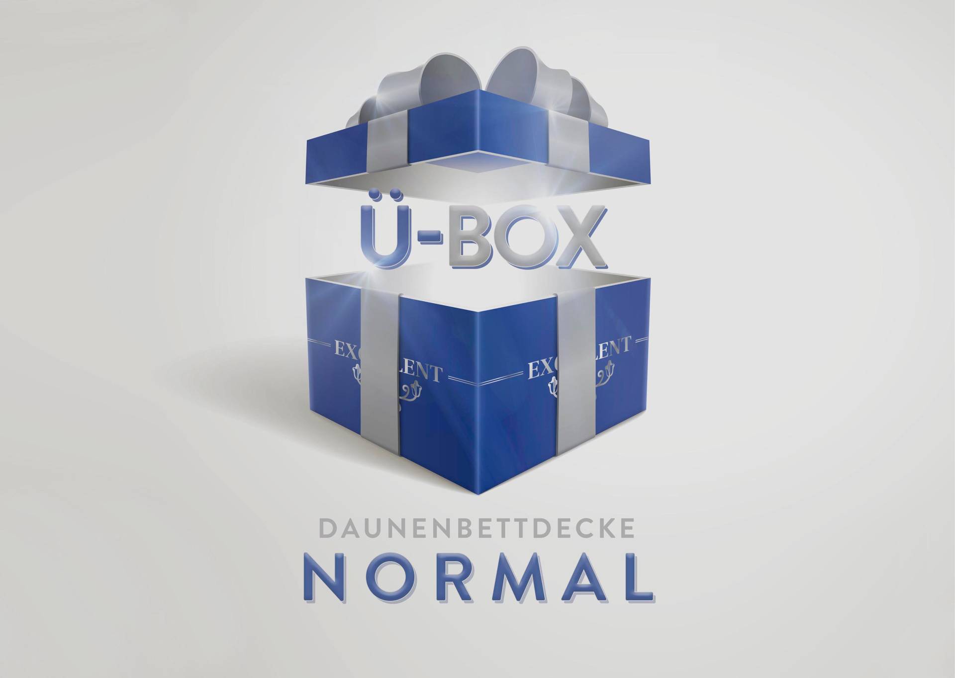 Excellent Daunenbettdecke »Überraschungsbox«, normal, Füllung 90% Daunen, 10% Federn, Bezug Baumwolle, (1 St.) von Excellent