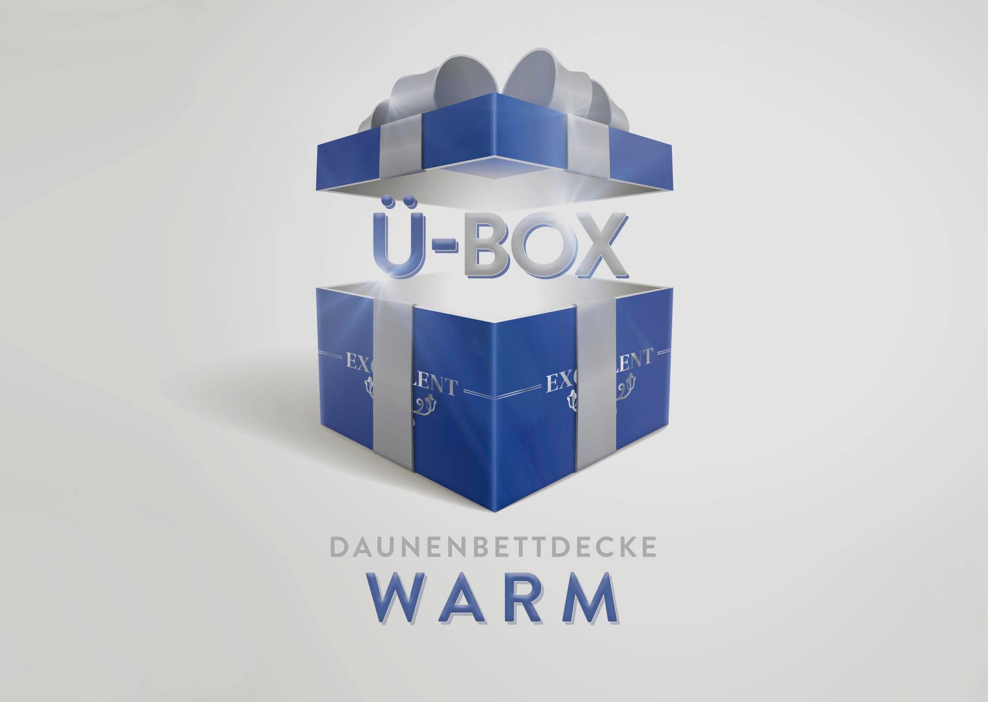 Excellent Daunenbettdecke »Überraschungsbox«, warm, Füllung 90% Daunen, 10% Federn, Bezug Baumwolle, (1 St.) von Excellent