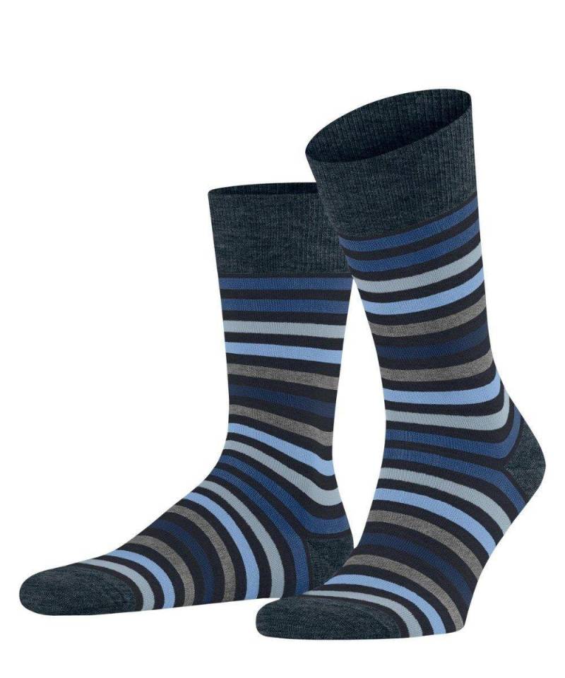 Falke Tinted Stripe So-43-46 Herren Blau 43-46 von FALKE