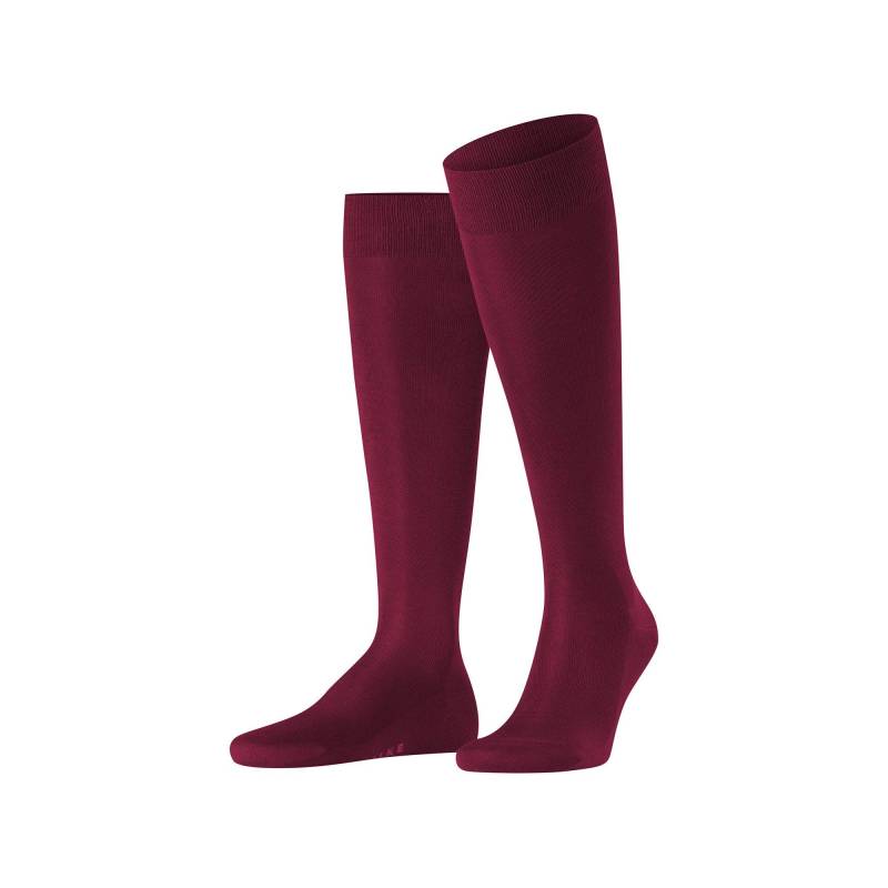 Kniestrümpfe Herren Bordeaux  39-40 von FALKE