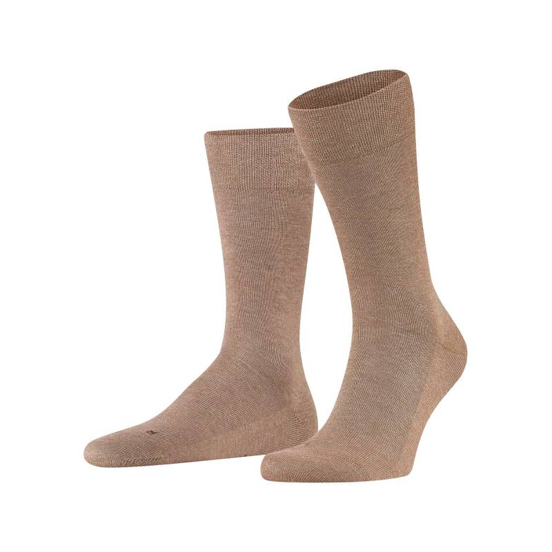 Socken Herren Beige 43-46 von FALKE