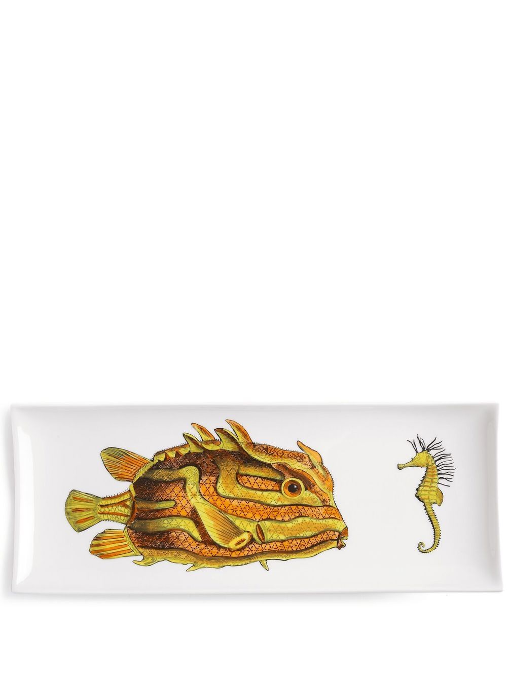 Fornasetti fish-print glazed tray - White von Fornasetti