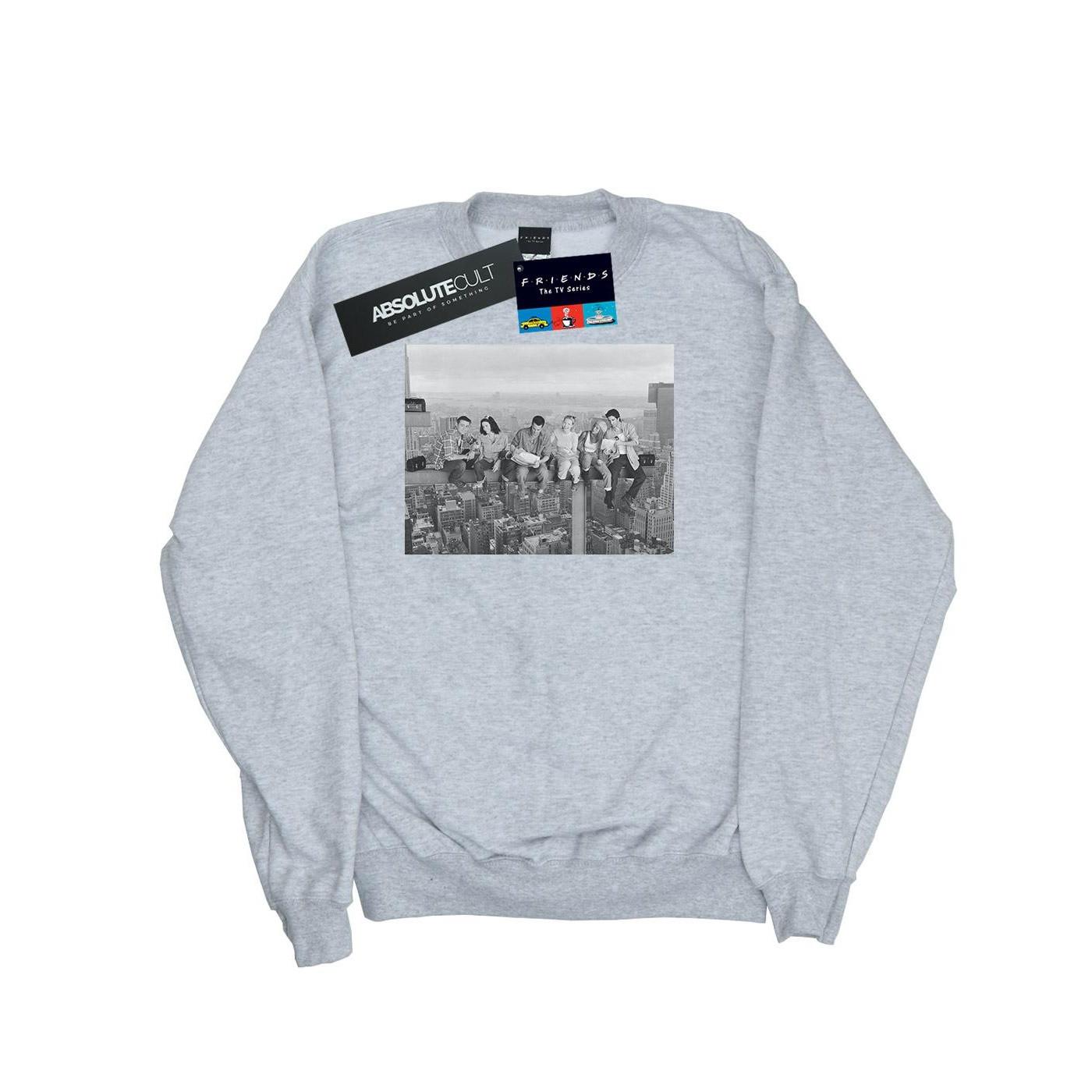 Construction Photo Sweatshirt Herren Grau M von Friends