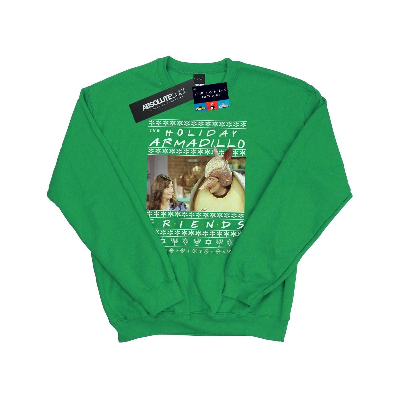 Fair Isle Holiday Armadillo Sweatshirt Herren Grün XL von Friends