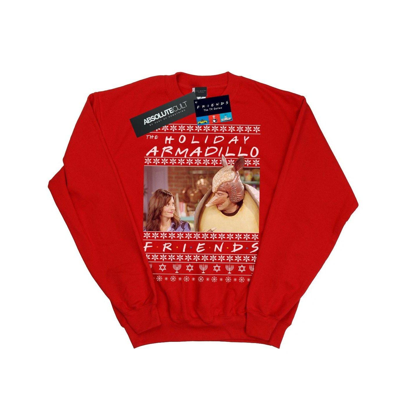 Fair Isle Holiday Armadillo Sweatshirt Jungen Rot Bunt 140/146 von Friends