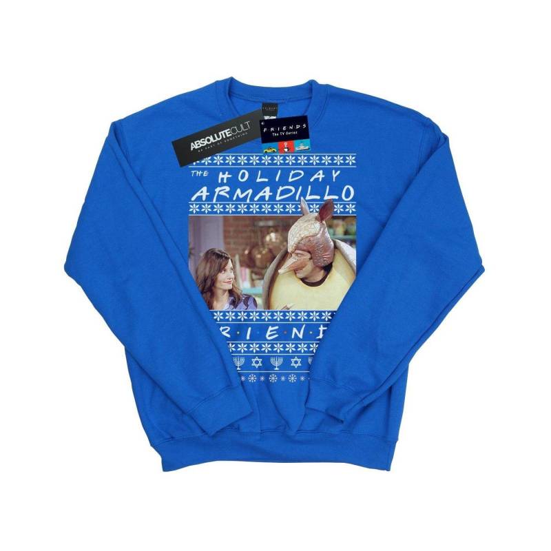 Fair Isle Holiday Armadillo Sweatshirt Mädchen Königsblau 152-158 von Friends