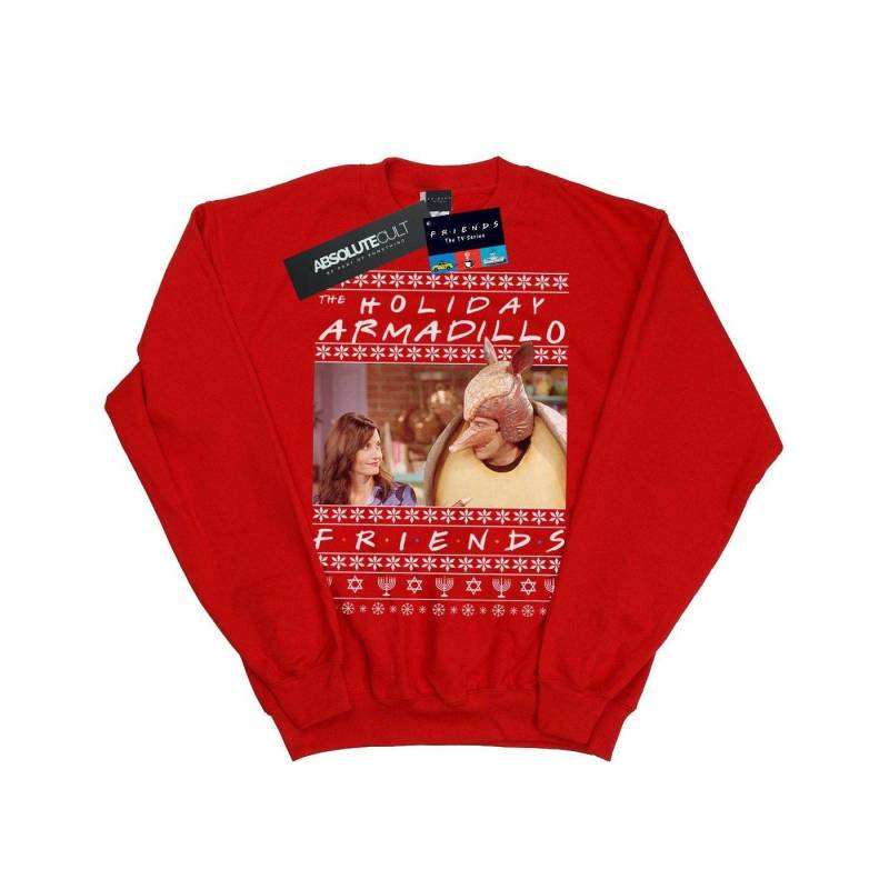 Fair Isle Holiday Armadillo Sweatshirt Mädchen Rot Bunt 128 von Friends