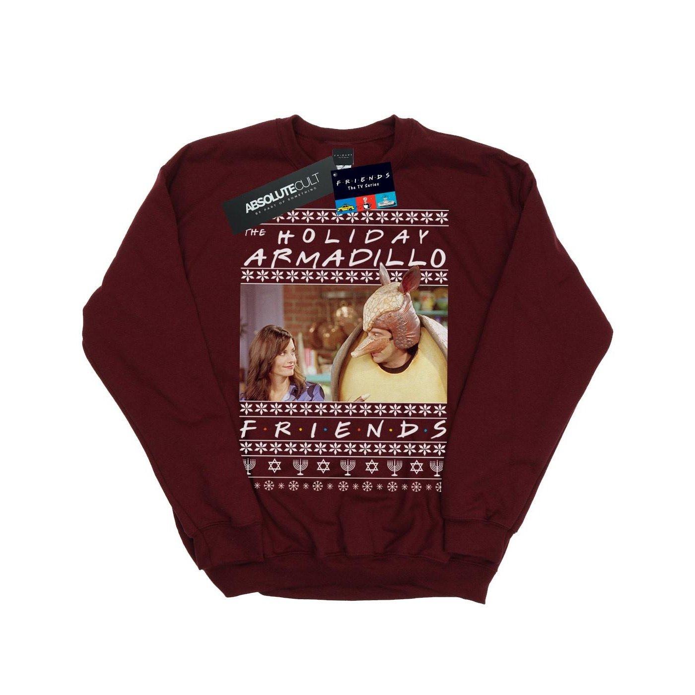 Fair Isle Holiday Armadillo Sweatshirt Mädchen Weinrot 116 von Friends