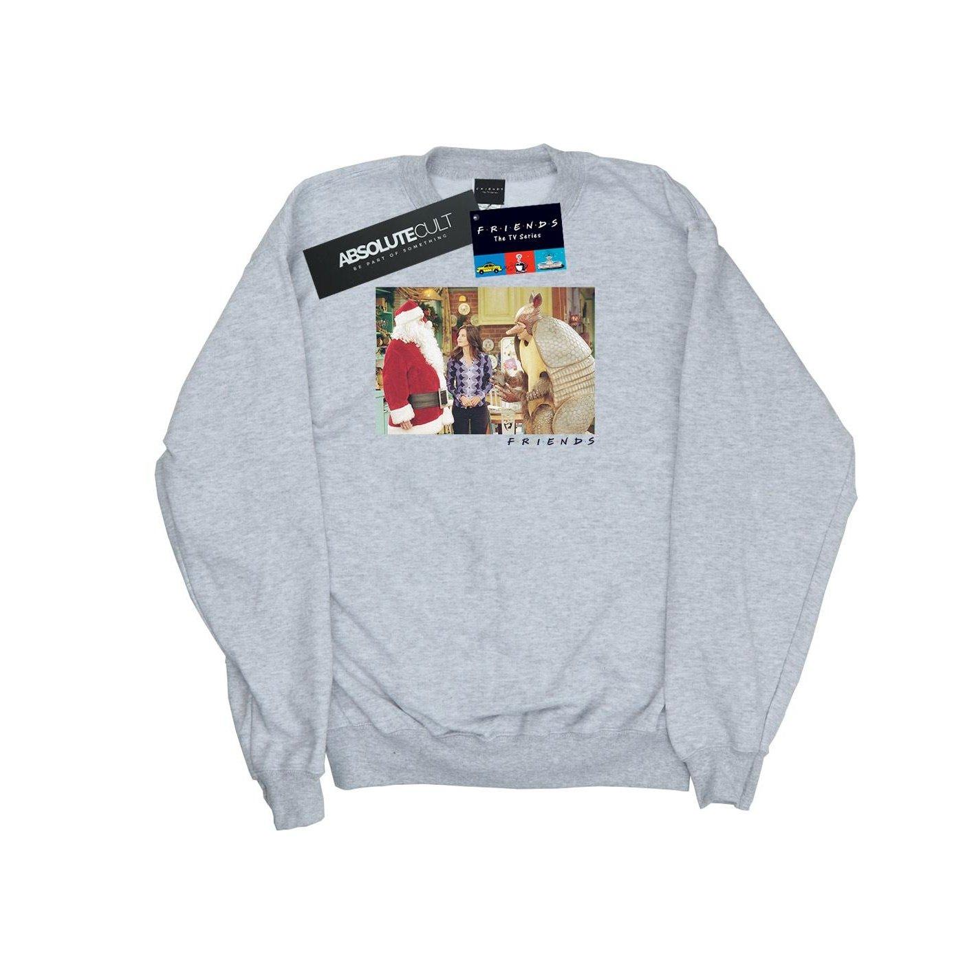 The Holiday Armadillo Sweatshirt Jungen Grau 140/146 von Friends