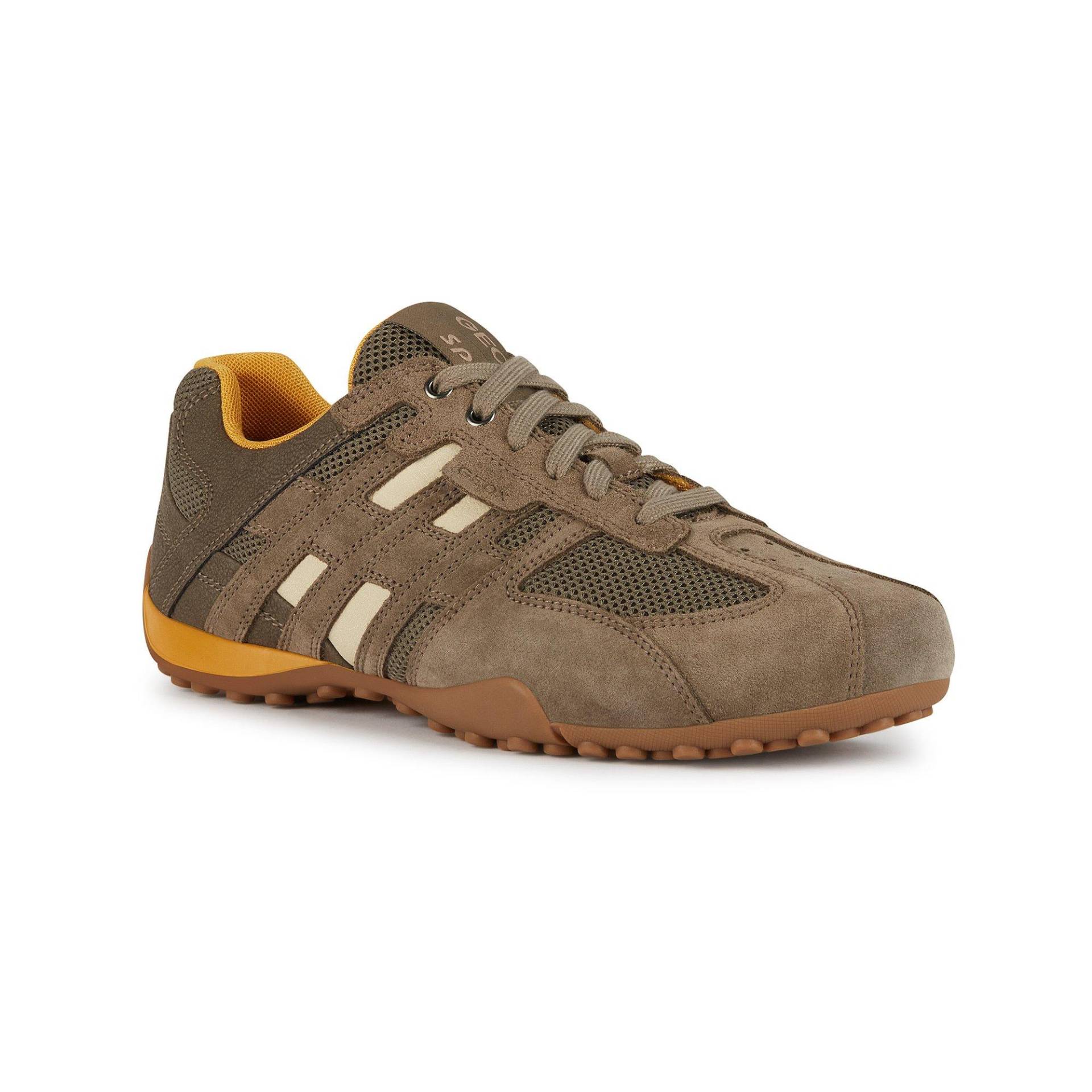 Sneakers, Low Top Herren Taupe 41 von GEOX