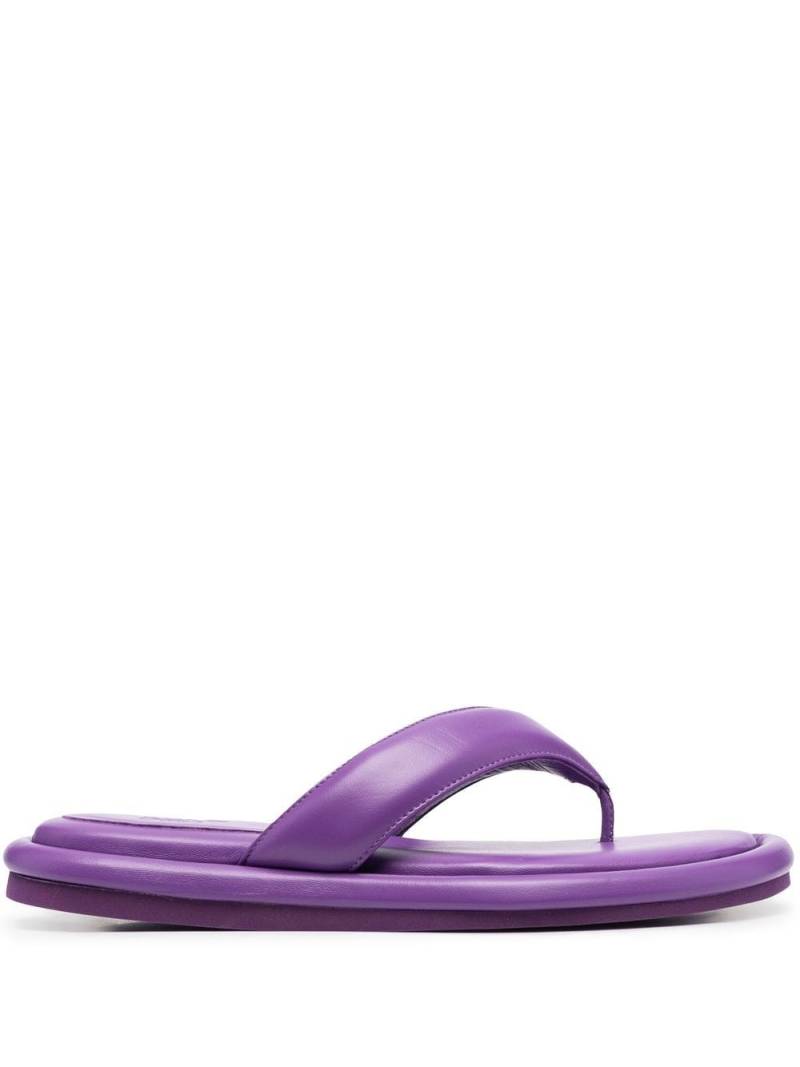 GIABORGHINI Gia 5 thong sandals - Purple von GIABORGHINI