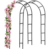 Rosenbogen 2er-Set Schwarz 240x37x140cm von Gardebruk®