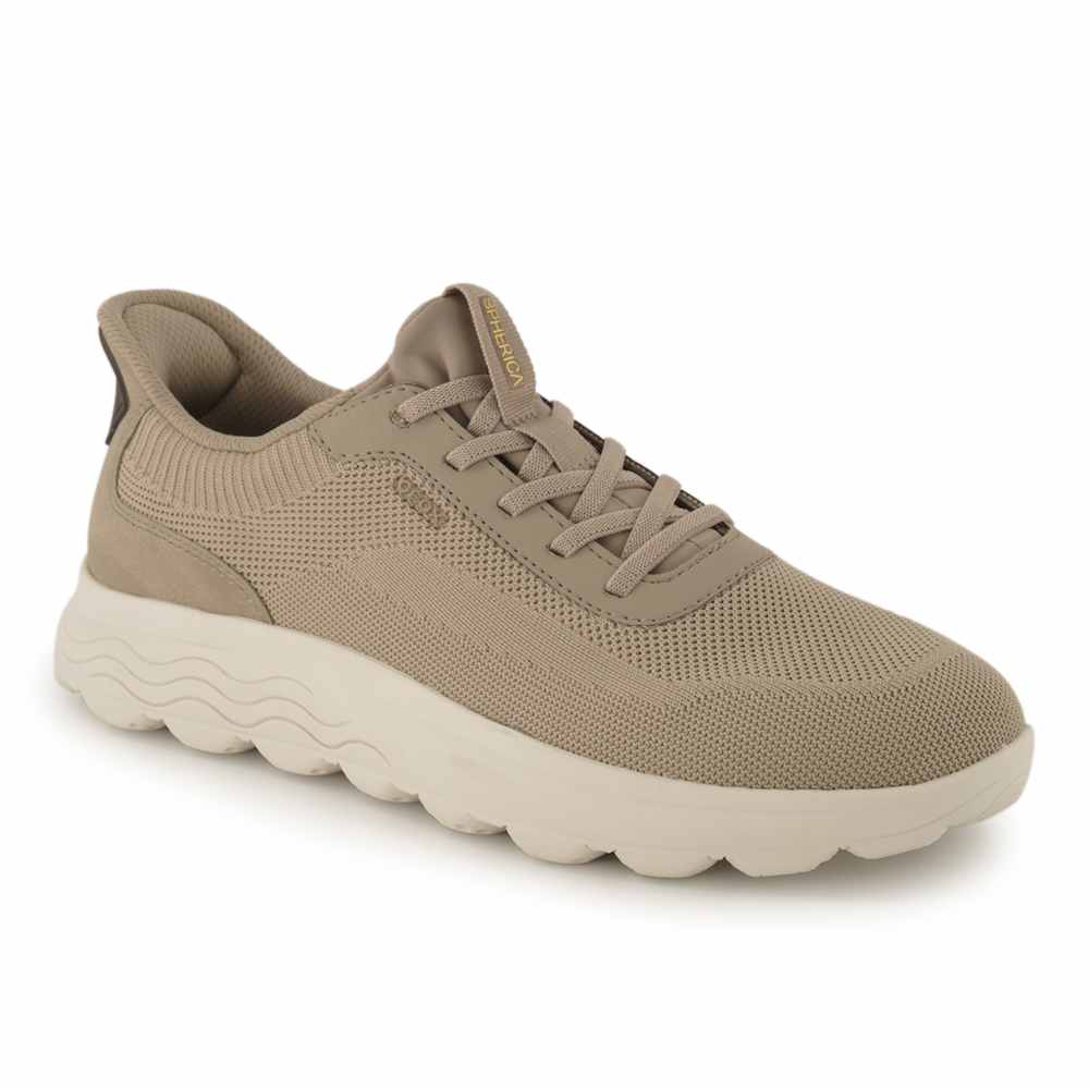 Geox, Sneaker von Geox